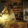 MOVIEFLASH: Lassie – Ein neues Abenteuer